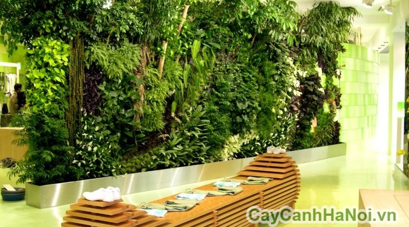 Vườn thẳng đứng trong trung tâm thương mại