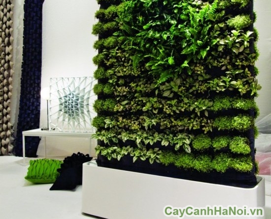 Vườn thẳng đứng trông thật lạ mắt