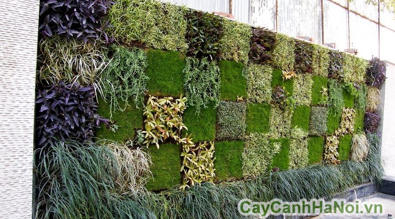 Vườn thẳng đứng tạo nên sự phá cách trong không gian